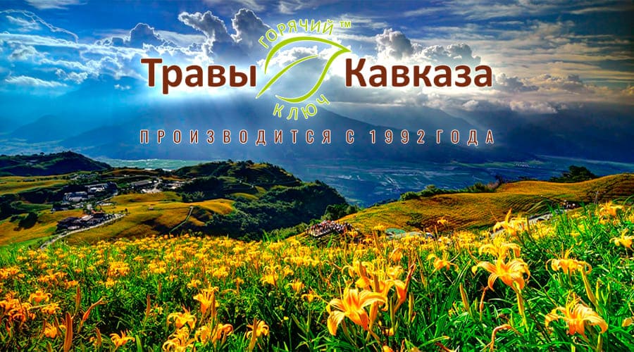 Травы Кавказа Горячий Ключ